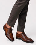BROWN - MONARCH
